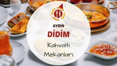 Aydın Didim kahvaltı mekanlarını gösteren deniz kenarında ya da zeytin ağaçları arasında kurulmuş serpme kahvaltı masası görseli