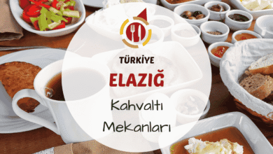 Elazığ kahvaltı mekanlarını gösteren yöresel peynirler, tandır ekmeği ve serpme kahvaltılıklar içeren masa görseli