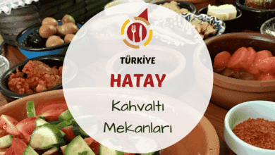 Hatay kahvaltı mekanlarını gösteren zahter, humus, katıklı ekmek ve yöresel lezzetlerle dolu serpme kahvaltı sofrası görseli