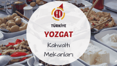 Yozgat kahvaltı mekanlarını gösteren tandır ekmeği, çökelek, pekmez ve sıcak çayla hazırlanmış geleneksel kahvaltı sofrası görseli